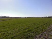 WGN sprzedaje grunt inwestycyjny za 3600000 zł